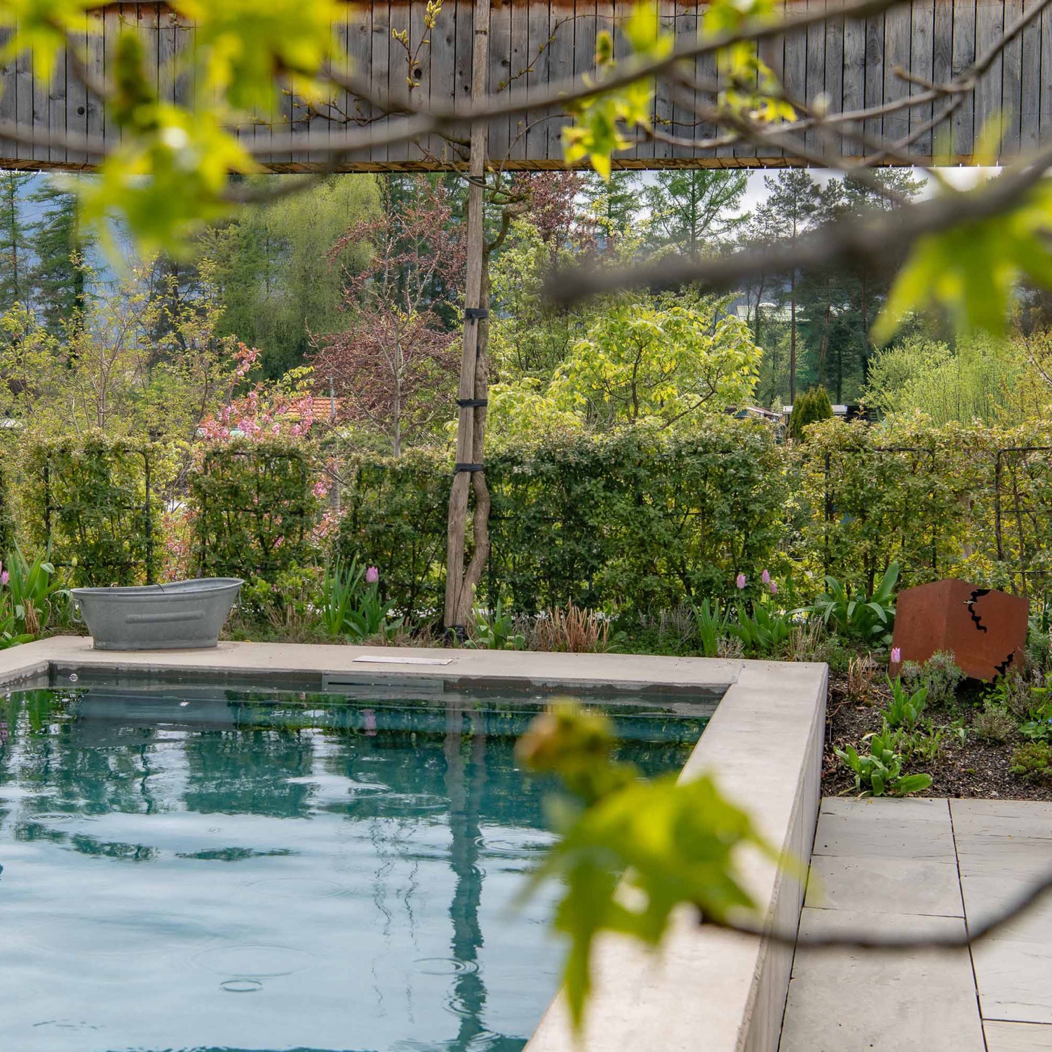 Gartenbau — Schwimmteich und Bepflanzung